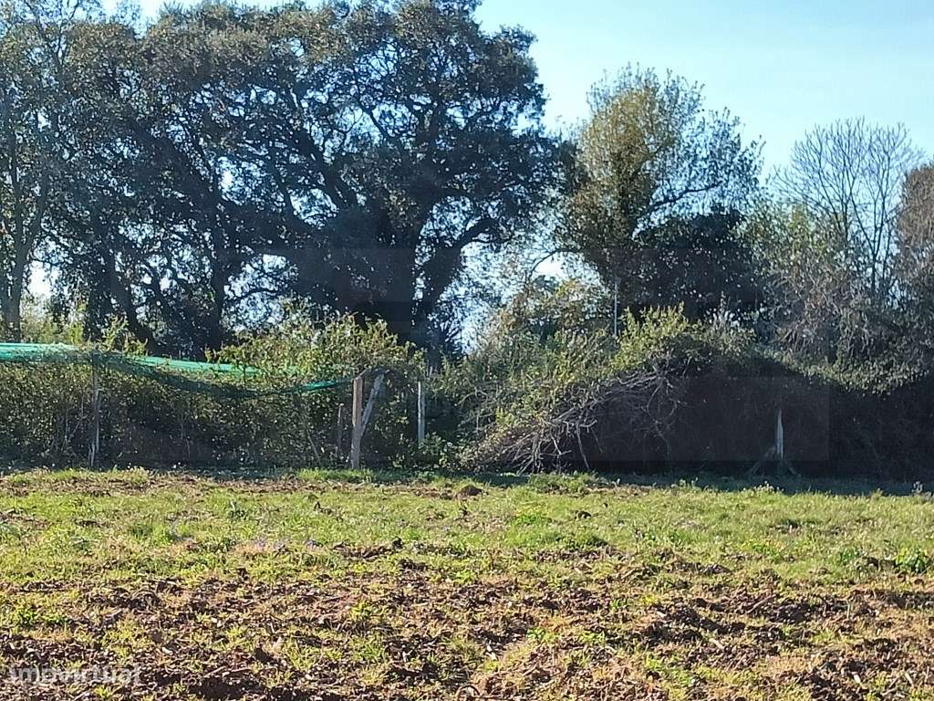 TERRENO RUSTICO - SOBREIRO - Grande imagem: 5/8