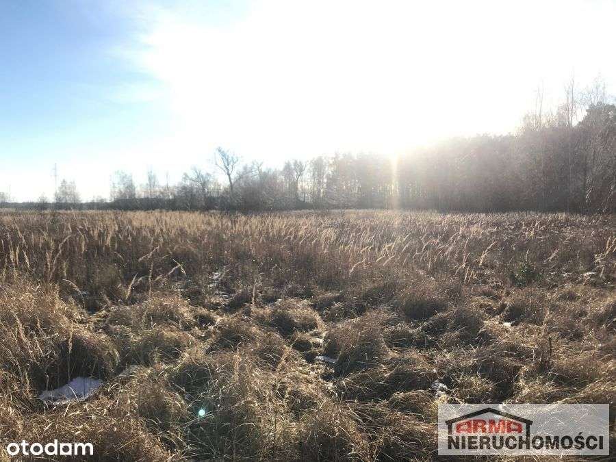 Działka - pod inwestycje - Pełny obrazek: 5/11