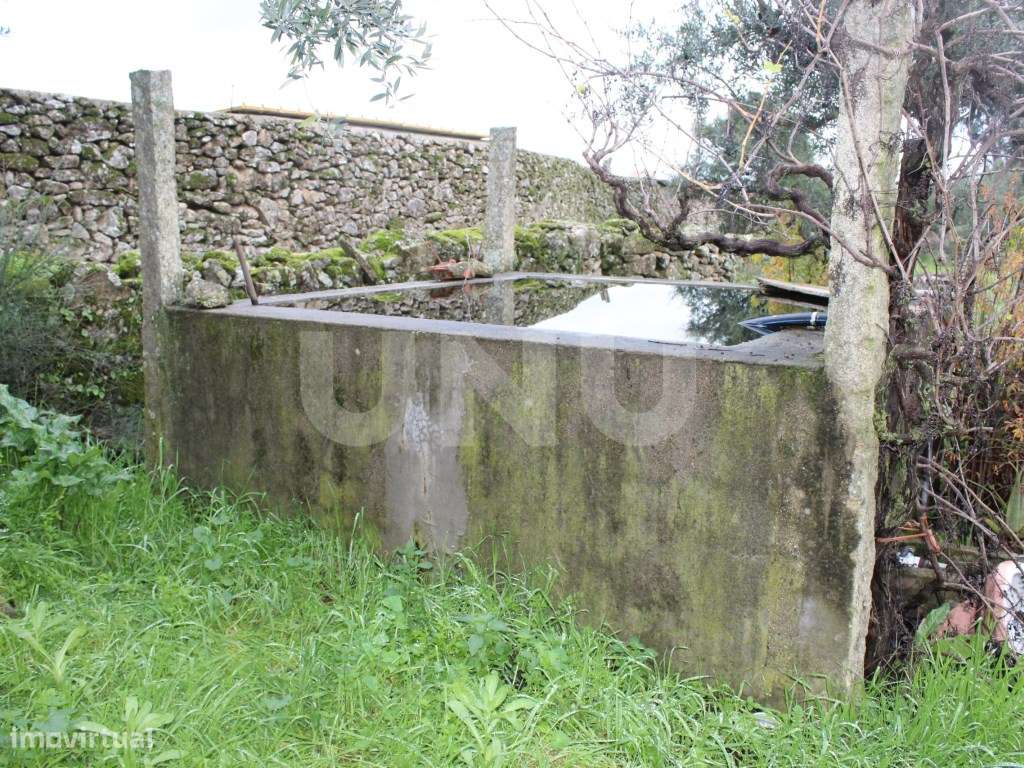 Quintinha com 4250m2 - Grande imagem: 5/21