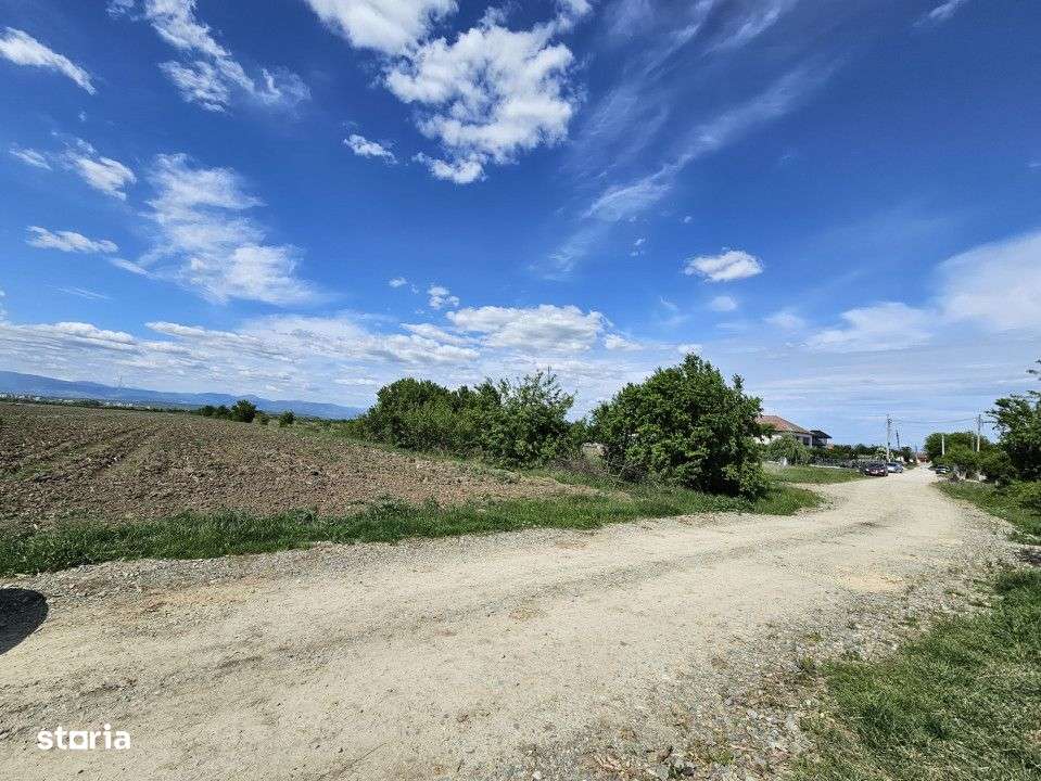 Vanzare teren - la 6 km de Tg. Jiu - in Sat Bucureasa, Com. Danesti - Imagine principală: 4/4