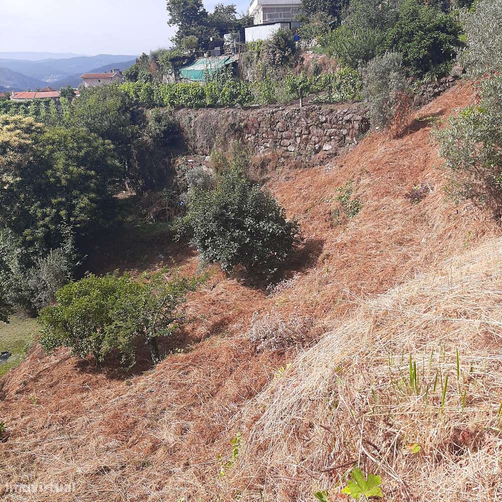 Casa em pedra para reconstruir Canelas Penafiel-19