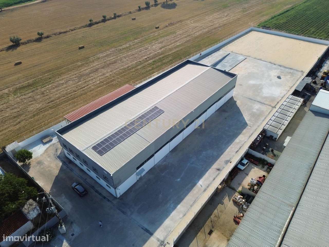 Armazém Industrial para Arrendamento – Riachos, Torres Novas - Grande imagem: 5/40