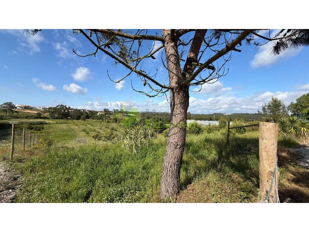 Terreno parcialmente urbano de 1.920 m2, perto de Torres Vedras-10
