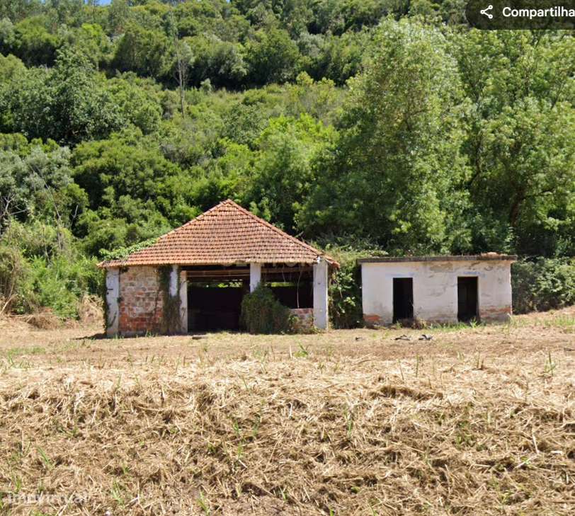 Ruína com terreno de 9800m2 em Alcobaça – Oportunidade Única de invest - Grande imagem: 4/4