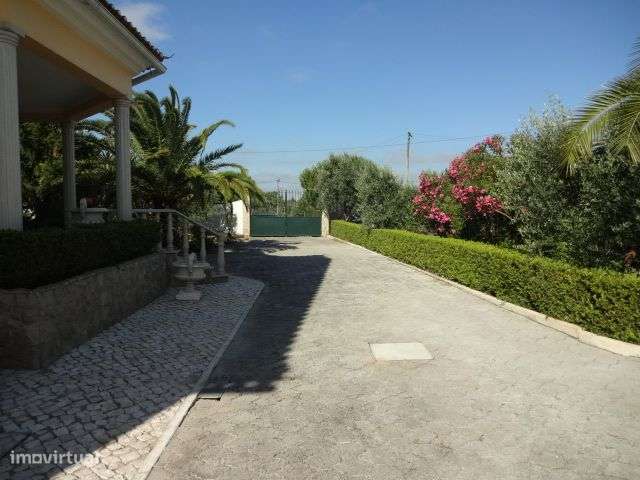 Quinta T/7 Cartaxo-20