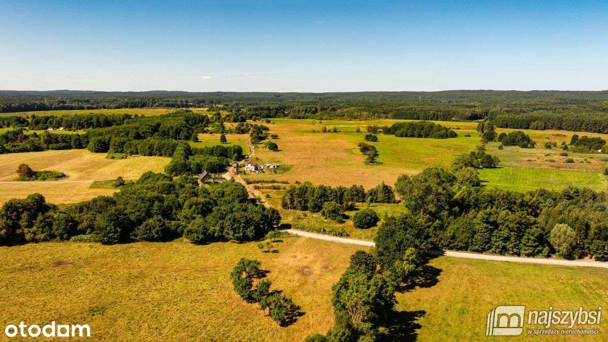 Rabiąż - duża działka z Wz , tylko 7km do morza - Pełny obrazek: 5/15