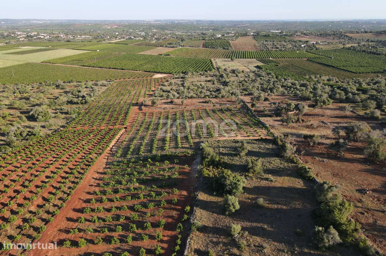 Terreno rústico com 6.440m2 em Messines - Grande imagem: 5/19