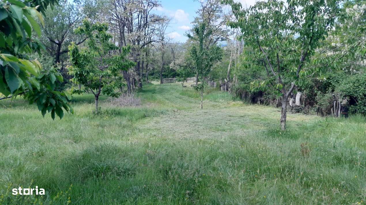 Teren extravilan de vanzare – Stanesti, 3.861 mp, livada de ciresi-9