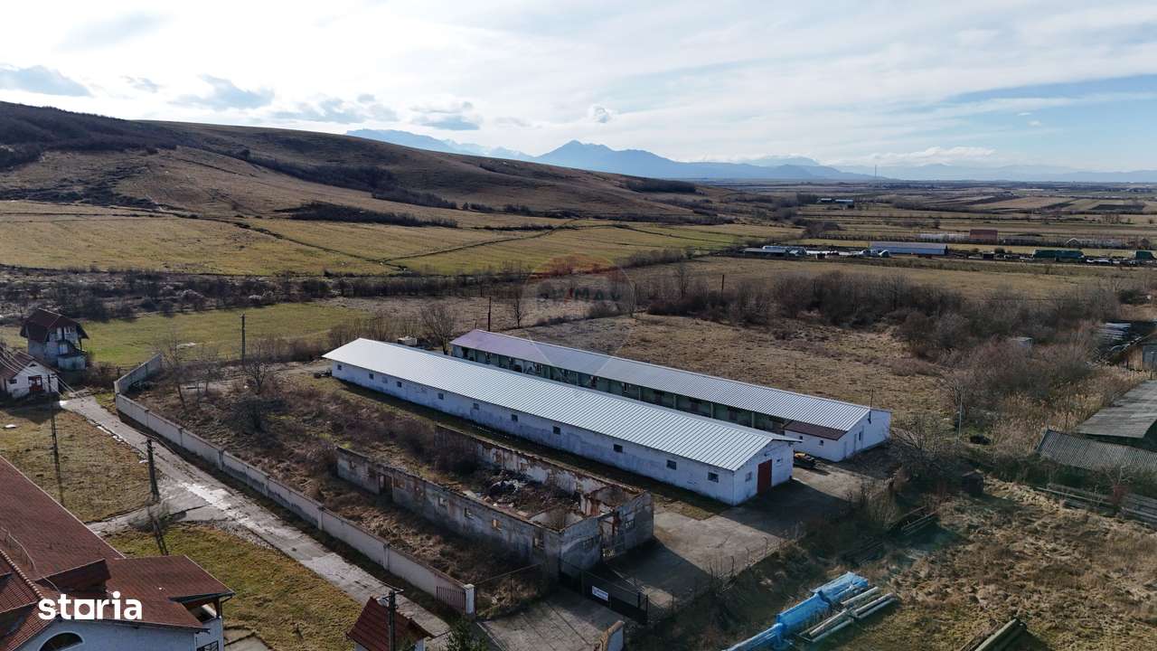 Teren industrial 1.729 mp I Demolare + construcție hală Teliu-7