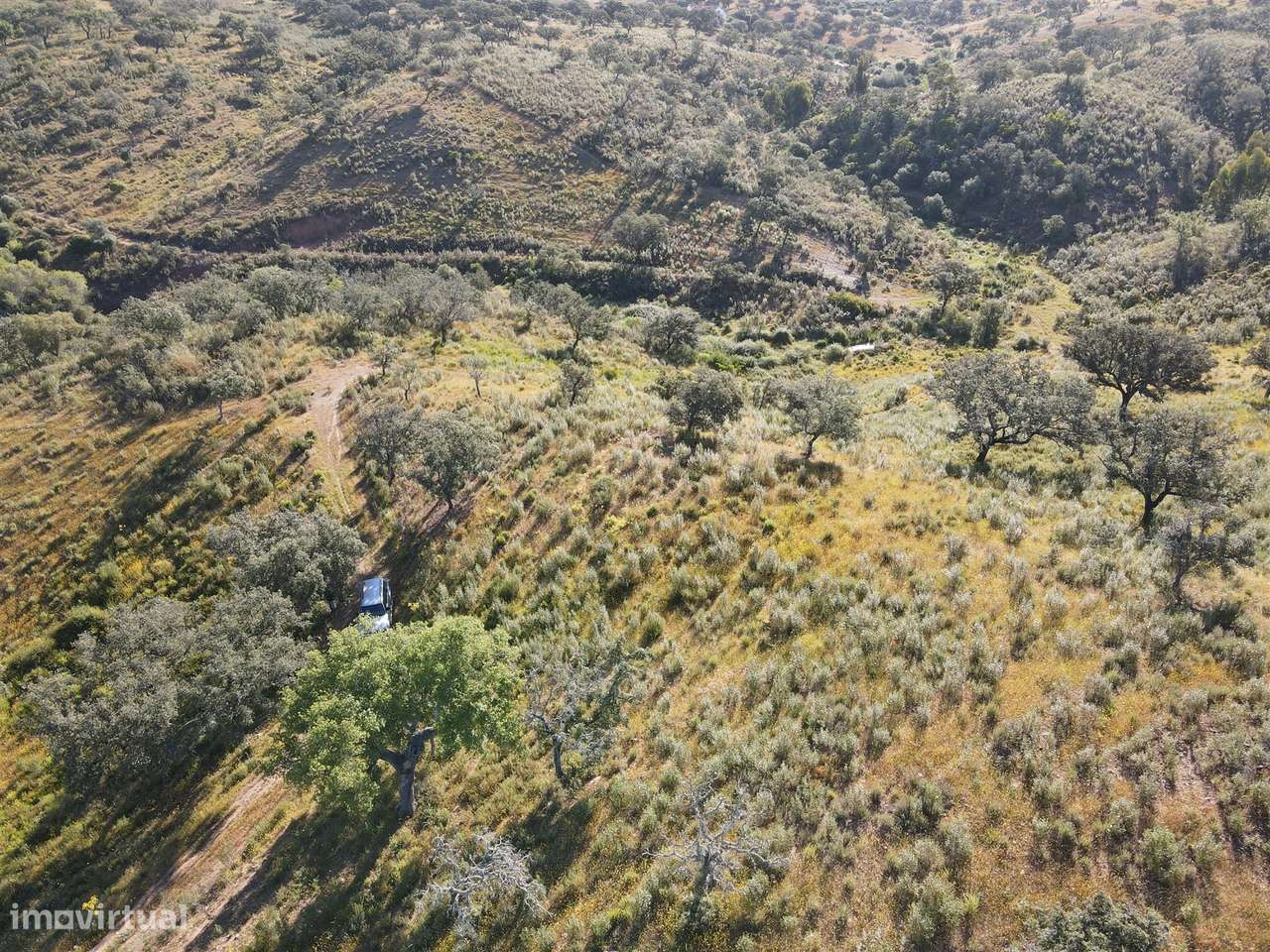 Terreno Rústico  Venda em Ourique,Ourique - Grande imagem: 4/31