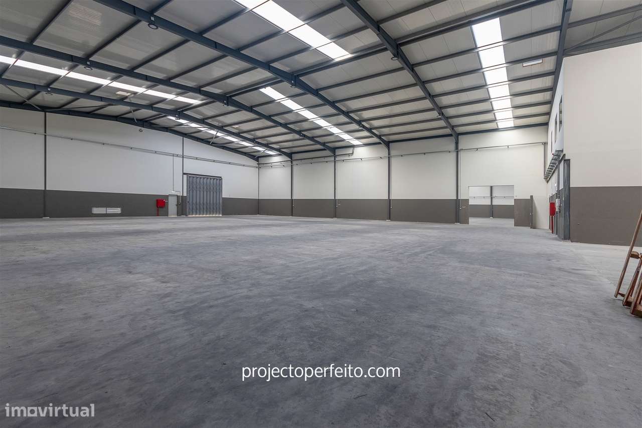 Armazém  Venda em Grijó e Sermonde,Vila Nova de Gaia - Grande imagem: 4/17