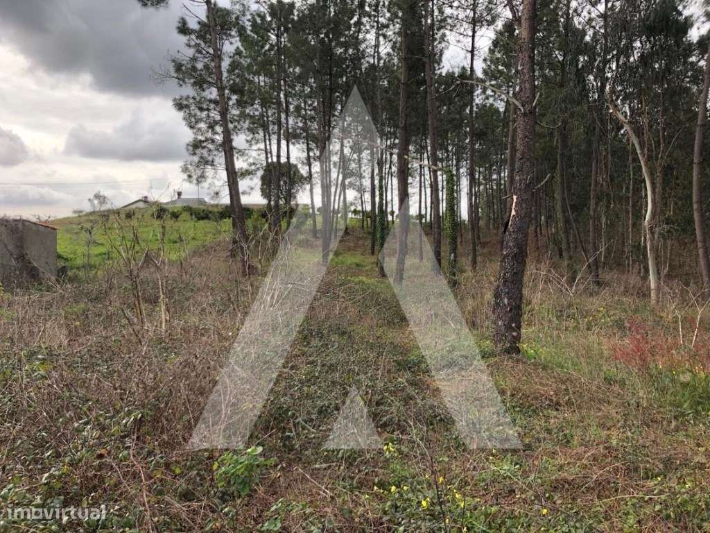 Terreno - Grande imagem: 2/8