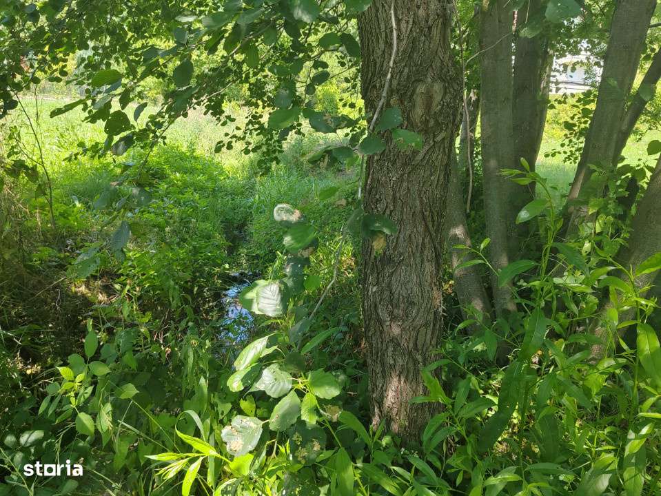Teren intravilan 1035 mp cu parau, Breaza, Prahova - Imagine principală: 5/6