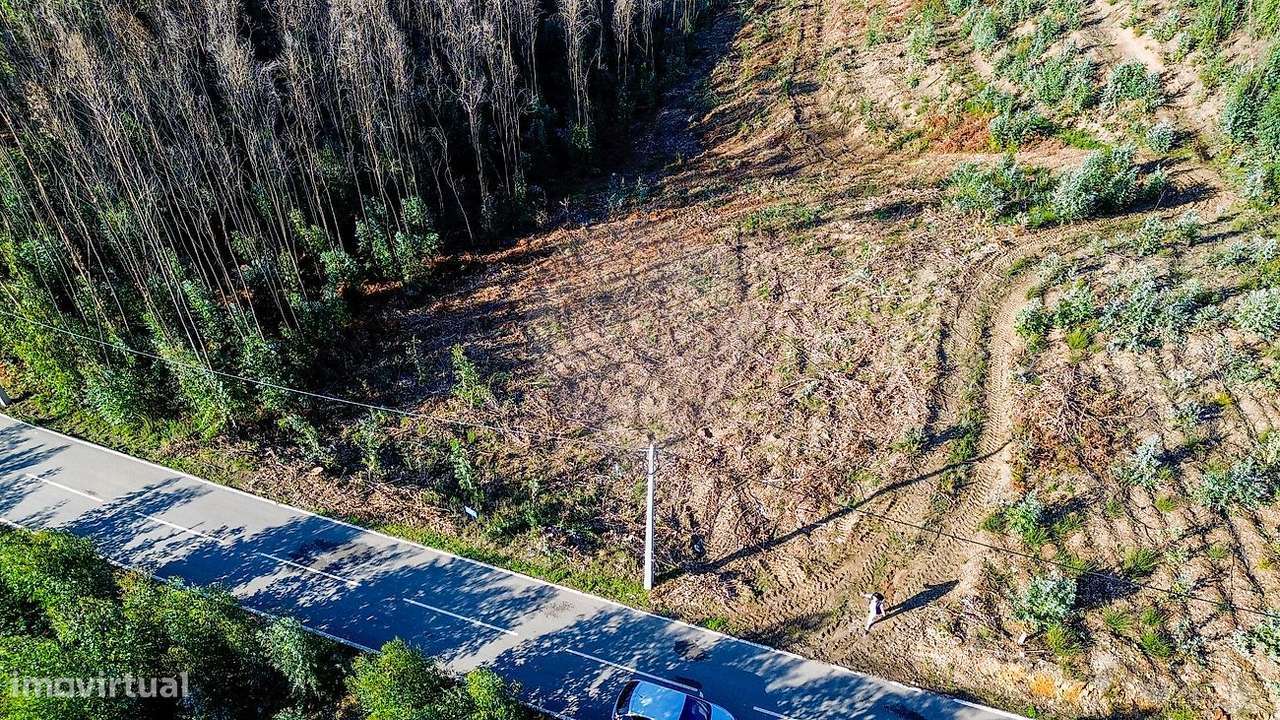 Terreno  para venda - Grande imagem: 5/14