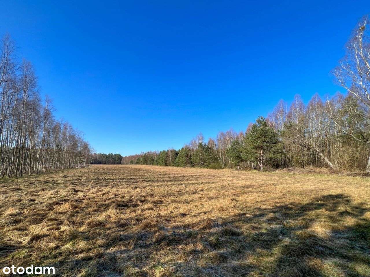 Duża działka inwestycyjna pod lasem w gm. Polanów! - Pełny obrazek: 4/6