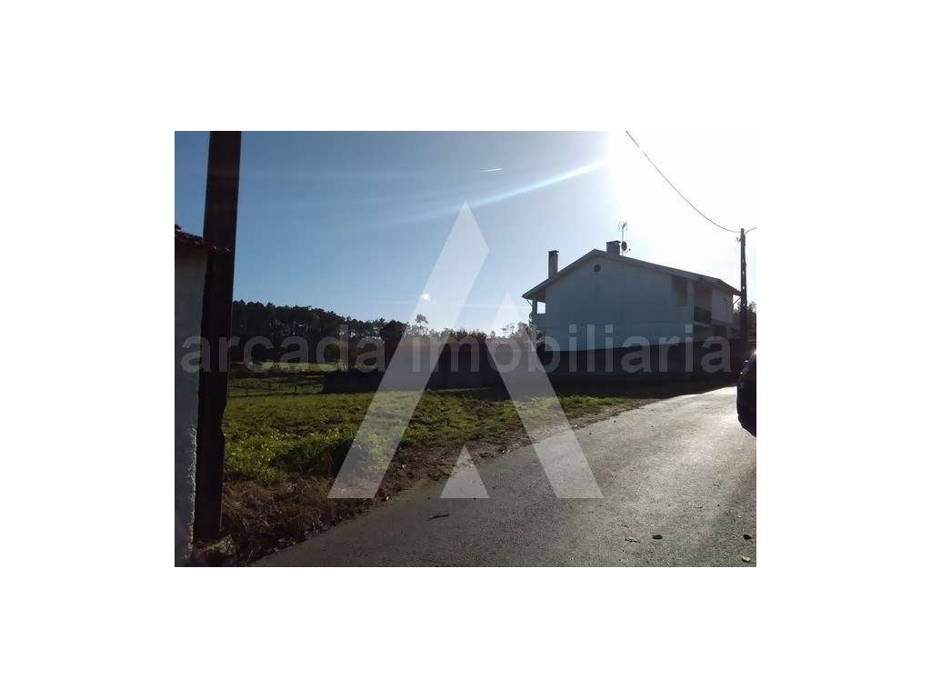 Terreno em Frias - Albergaria-a-Velha - Grande imagem: 5/5