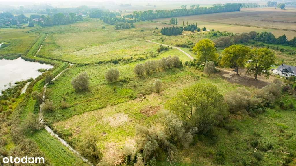 Wyjątkowa działka przy samej wodzie – Łojszyno - Pełny obrazek: 5/20