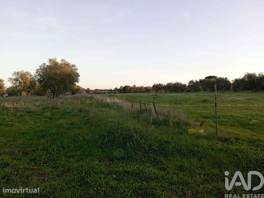 Terreno em Vale de Santarém de 43200,00 m2 - Grande imagem: 5/28