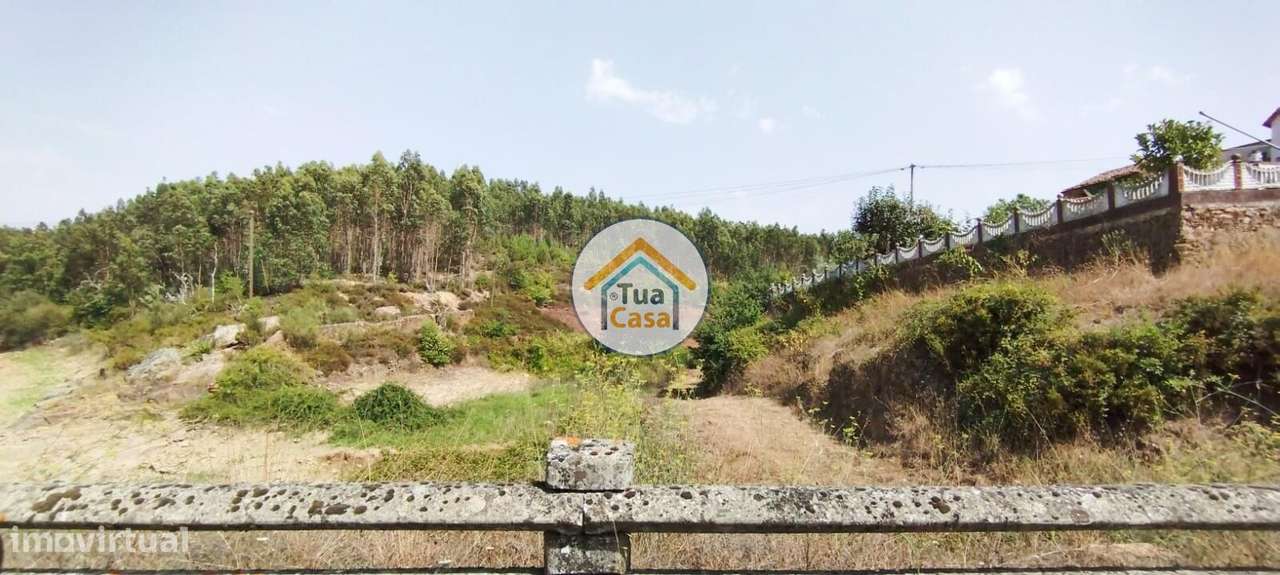 Quinta com Ruína em Oveiro, Santa Comba Dão - Grande imagem: 2/37