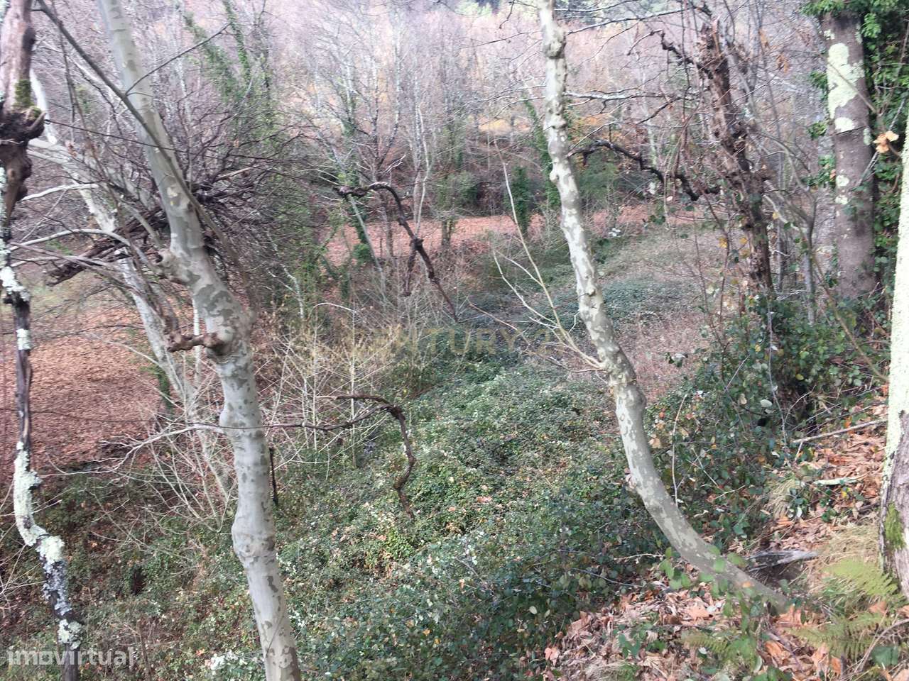 Quinta com 24.000m2 terreno no centro Vieira do Minho - Grande imagem: 4/22