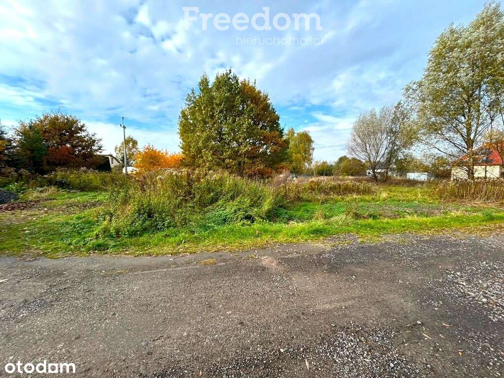 Działka 800m od stacji PKP Dębe Wielkie - Pełny obrazek: 3/6