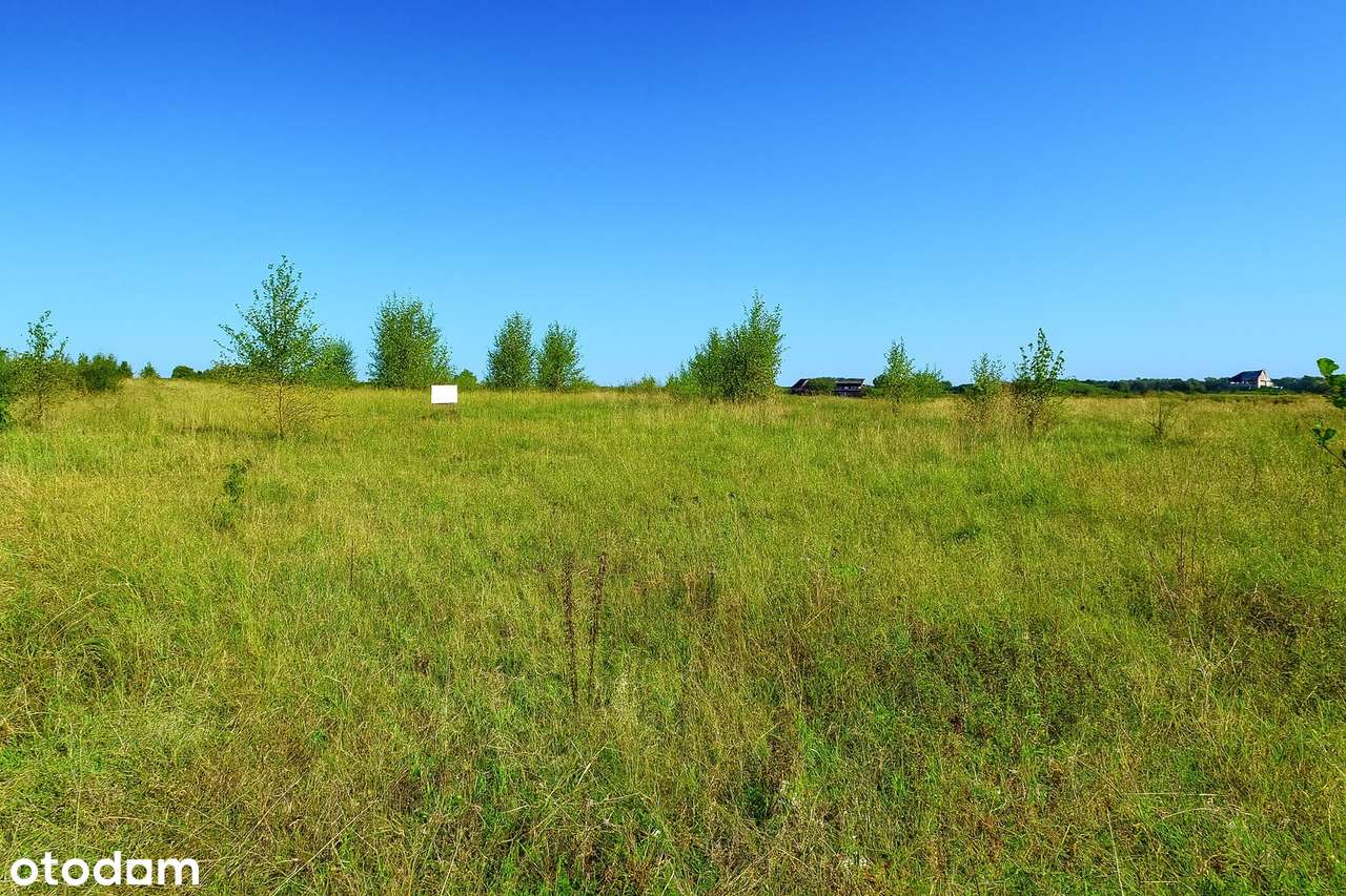 Działka w spokojnej okolicy wśród zieleni blisko Pruszcza Gd i Gdańska - Pełny obrazek: 5/6