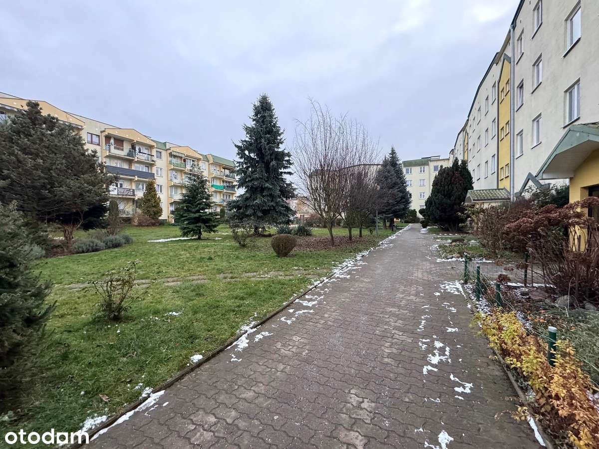 Mieszkanie 4 pokoje, 2 balkony, 30 m2 pow. salonu,Górczyn-19