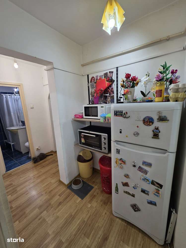 Apartament 2 camere decomandat zona Pacurari-2