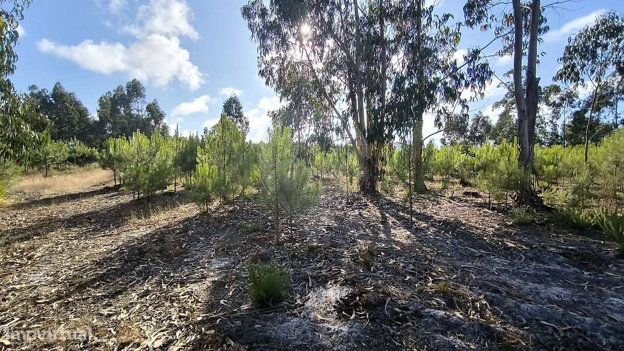 Terreno  para venda - Grande imagem: 4/14