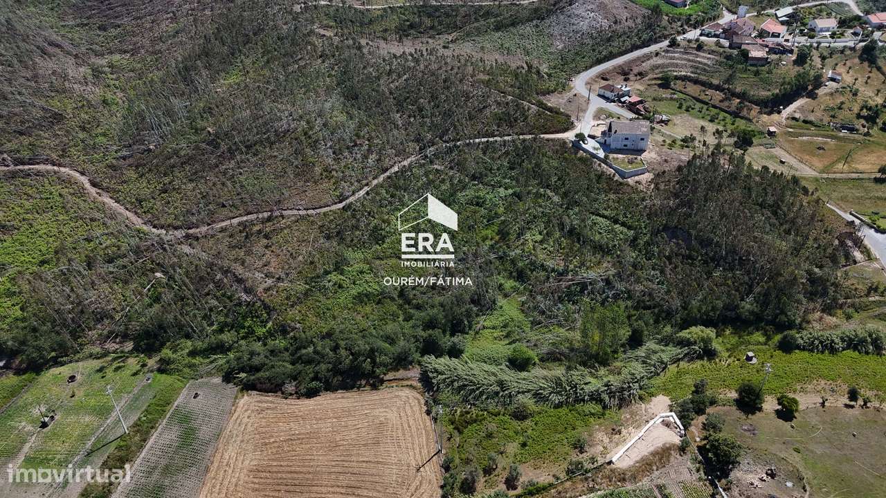 Terreno Florestal em Matas, Ourém-9