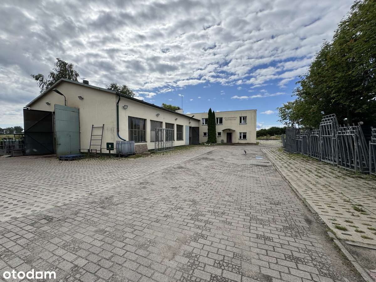 Pączewo - bud. produkcyjno - biurowy, magazyny, dom - Pełny obrazek: 3/20