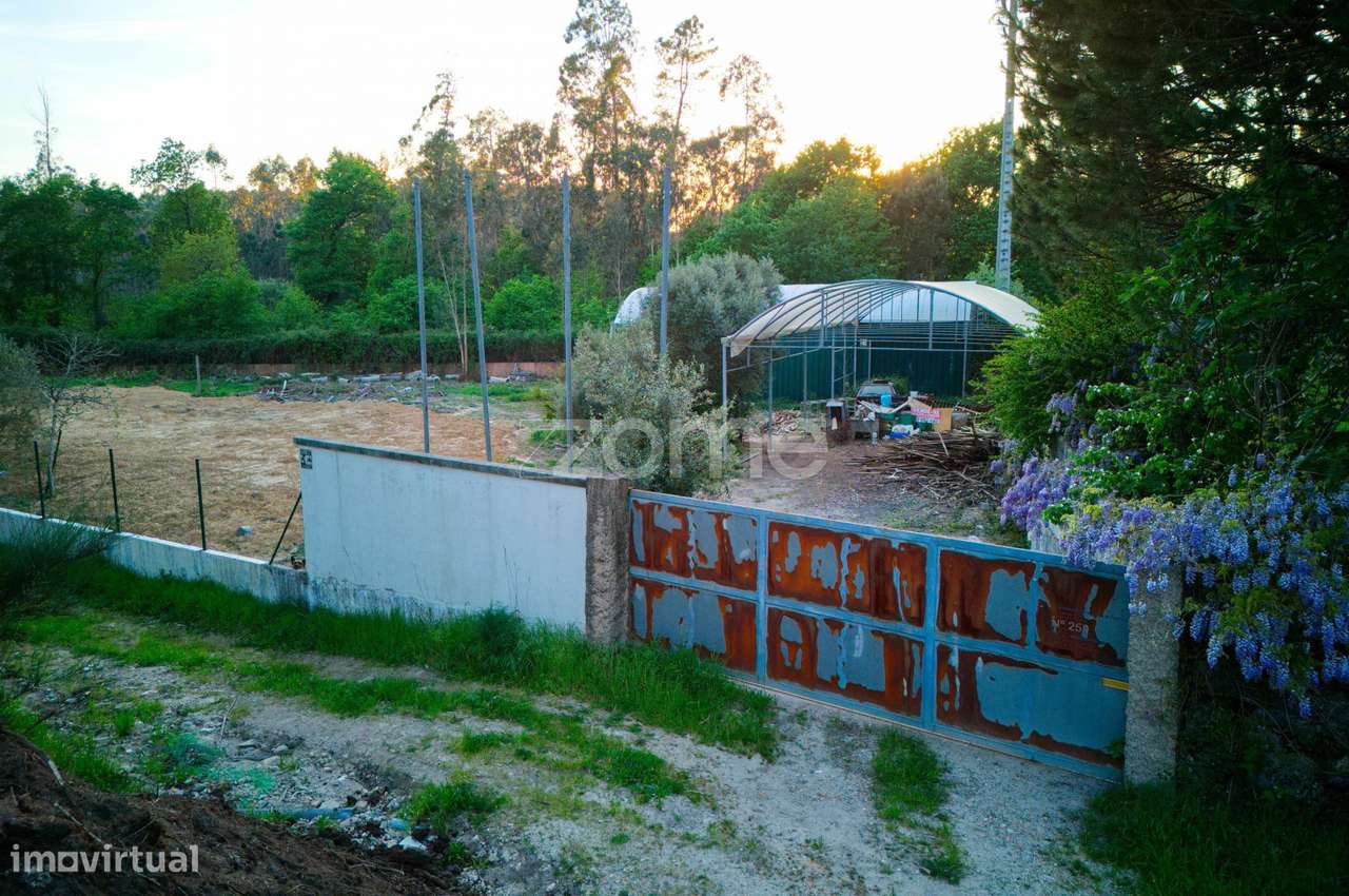 Terreno agrícola em Fragoso-11