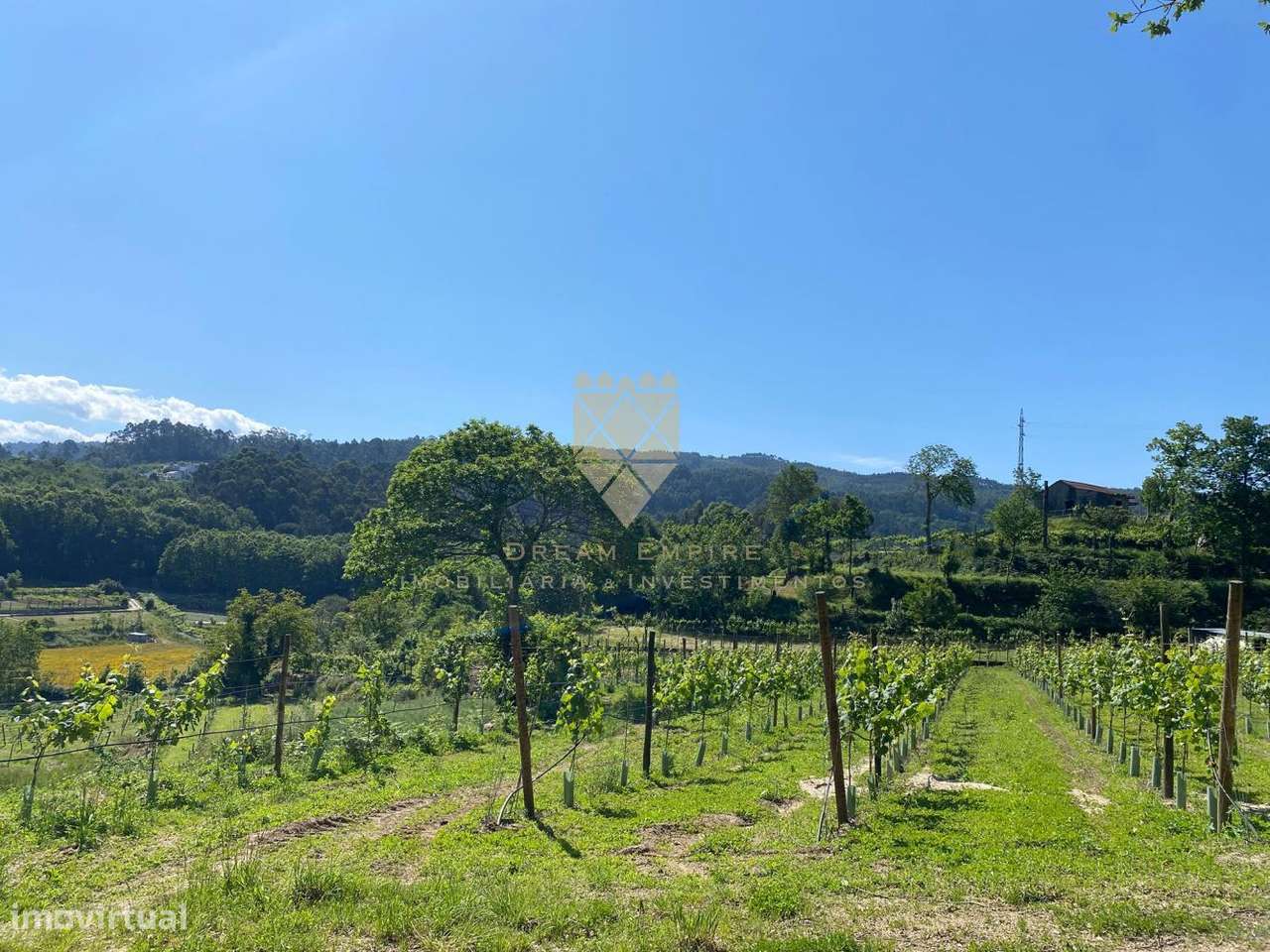 Quinta de Paço de Sousa – Tradição, Natureza e Potencial em Harmo-13