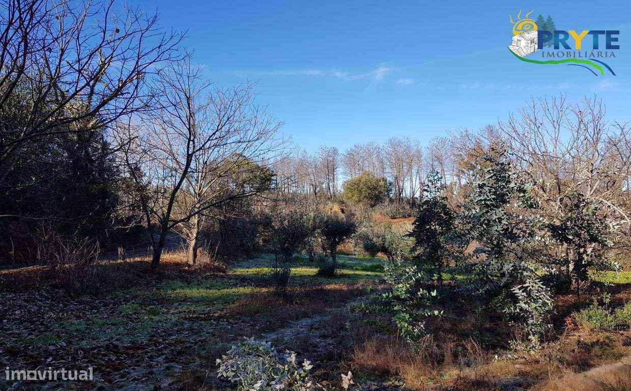 Quinta situada em Pedrógão Pequeno - Grande imagem: 5/60