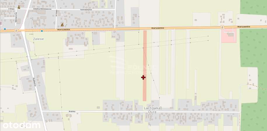 Działka rolna 1,15 Ha w Lachówce Dużej przy DK2 - Pełny obrazek: 5/7