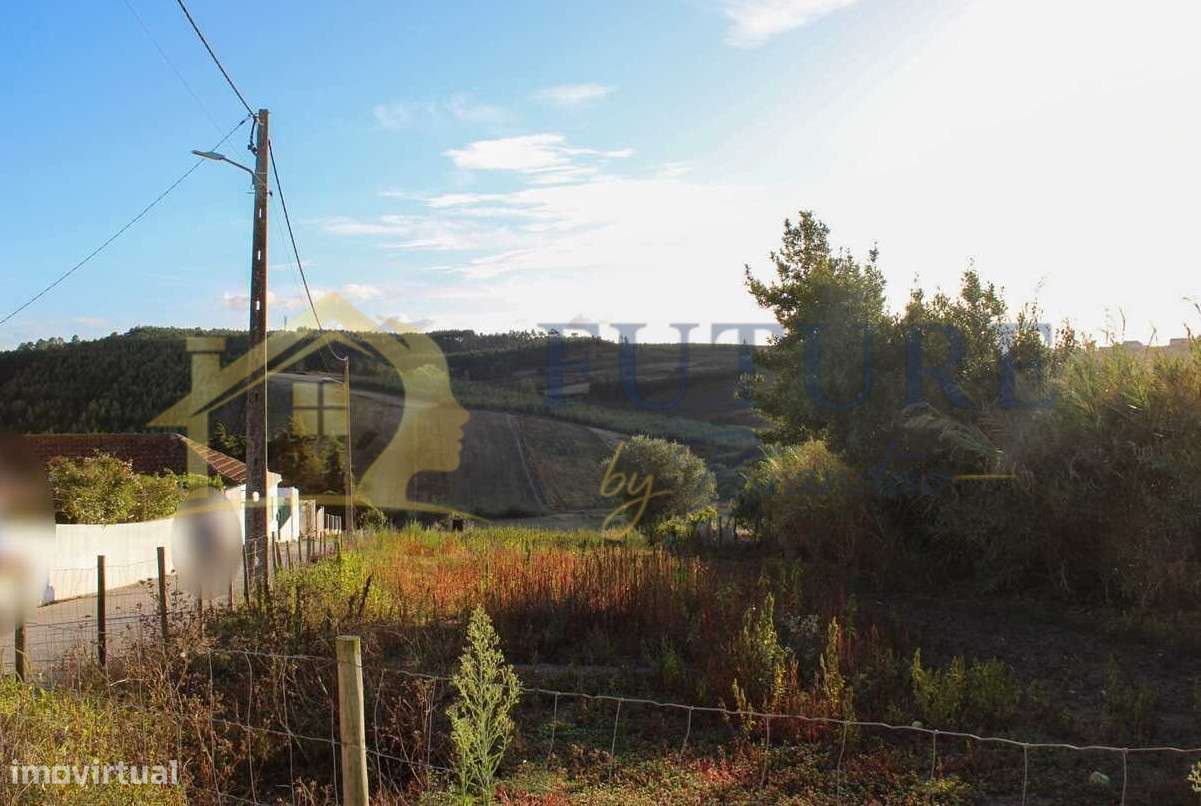 Terreno  Venda em Bombarral e Vale Covo,Bombarral-19