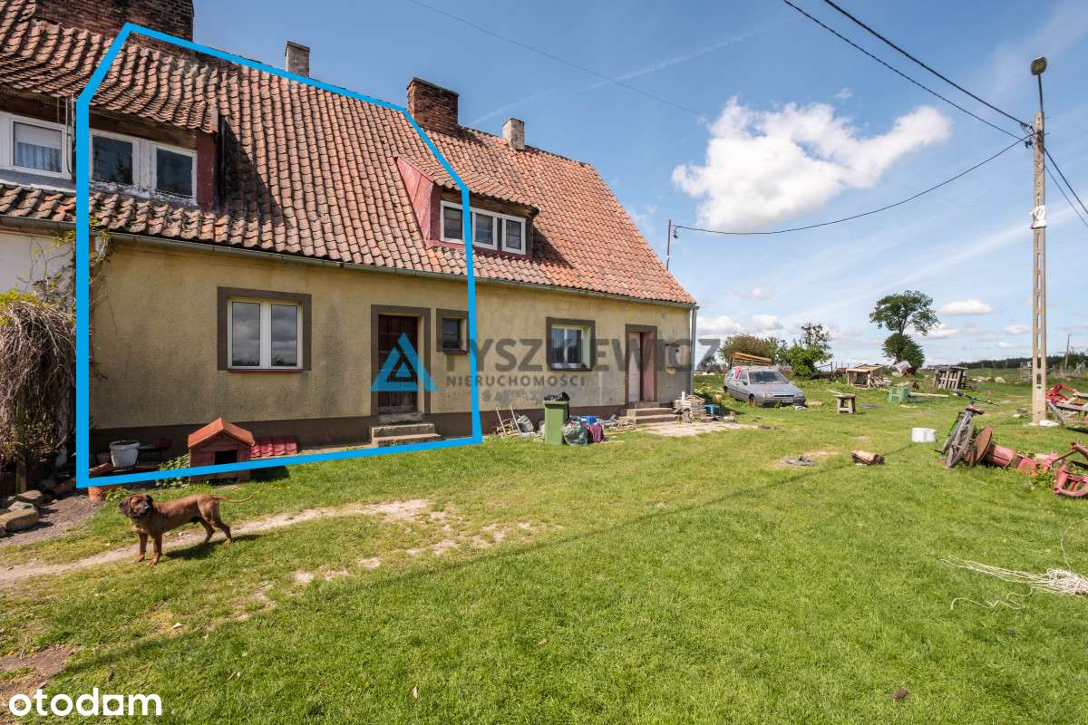 Dom do remontu niedaleko Prabut - Pełny obrazek: 3/15