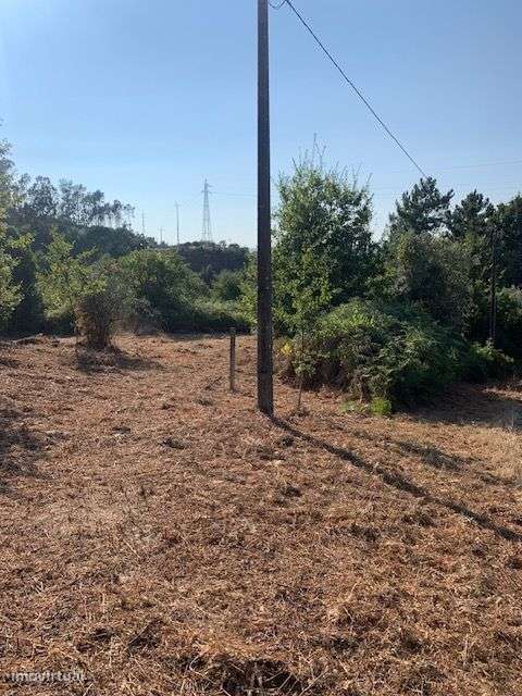 Quinta do Barreiro com 2 Casas para Recuperar-17