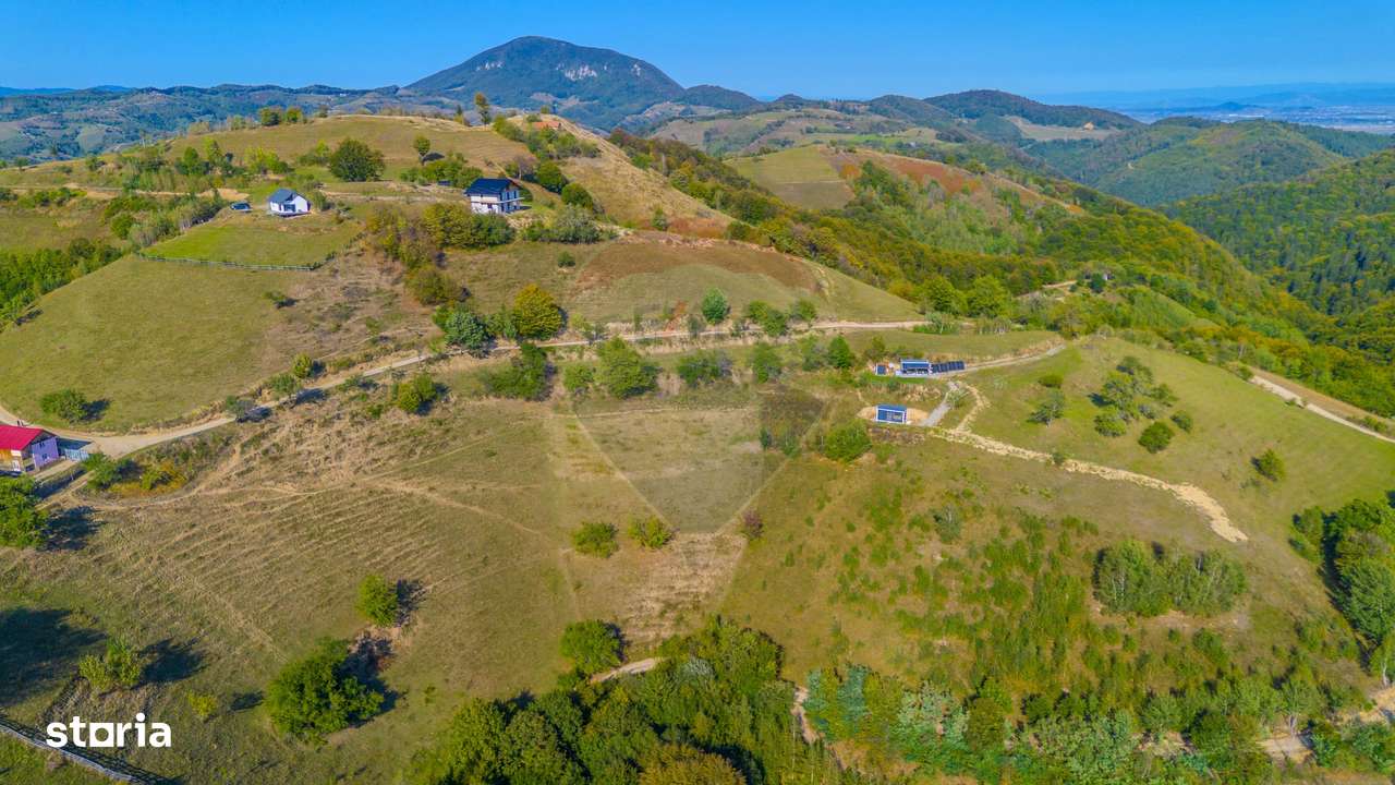 Teren extravilan 6,014mp | Holbav | BRASOV | COMISION 0| - Imagine principală: 4/14