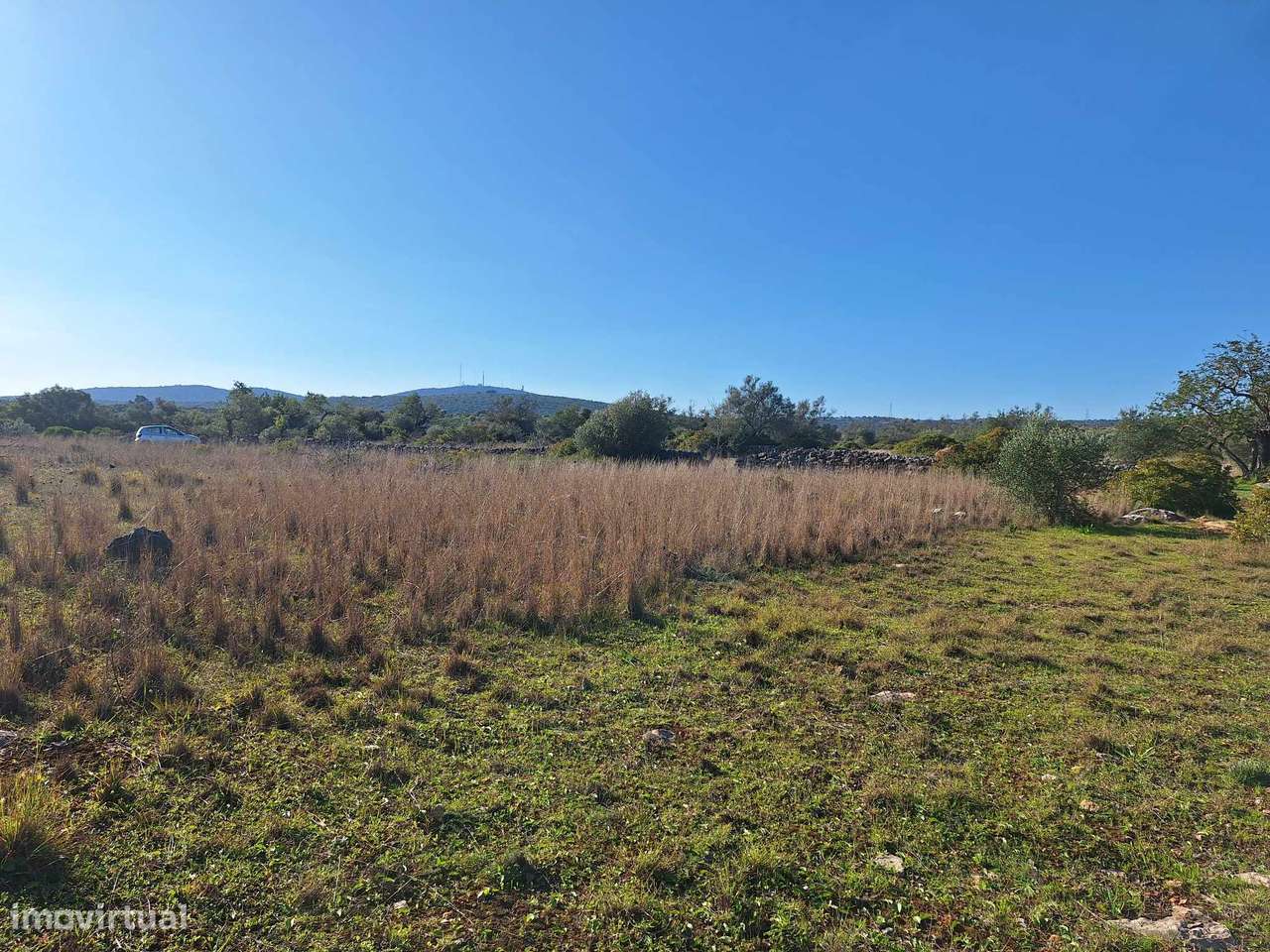 Terreno Rústico no Sítio do Laranjeiro de Santa Catarina da Fonte d...-2