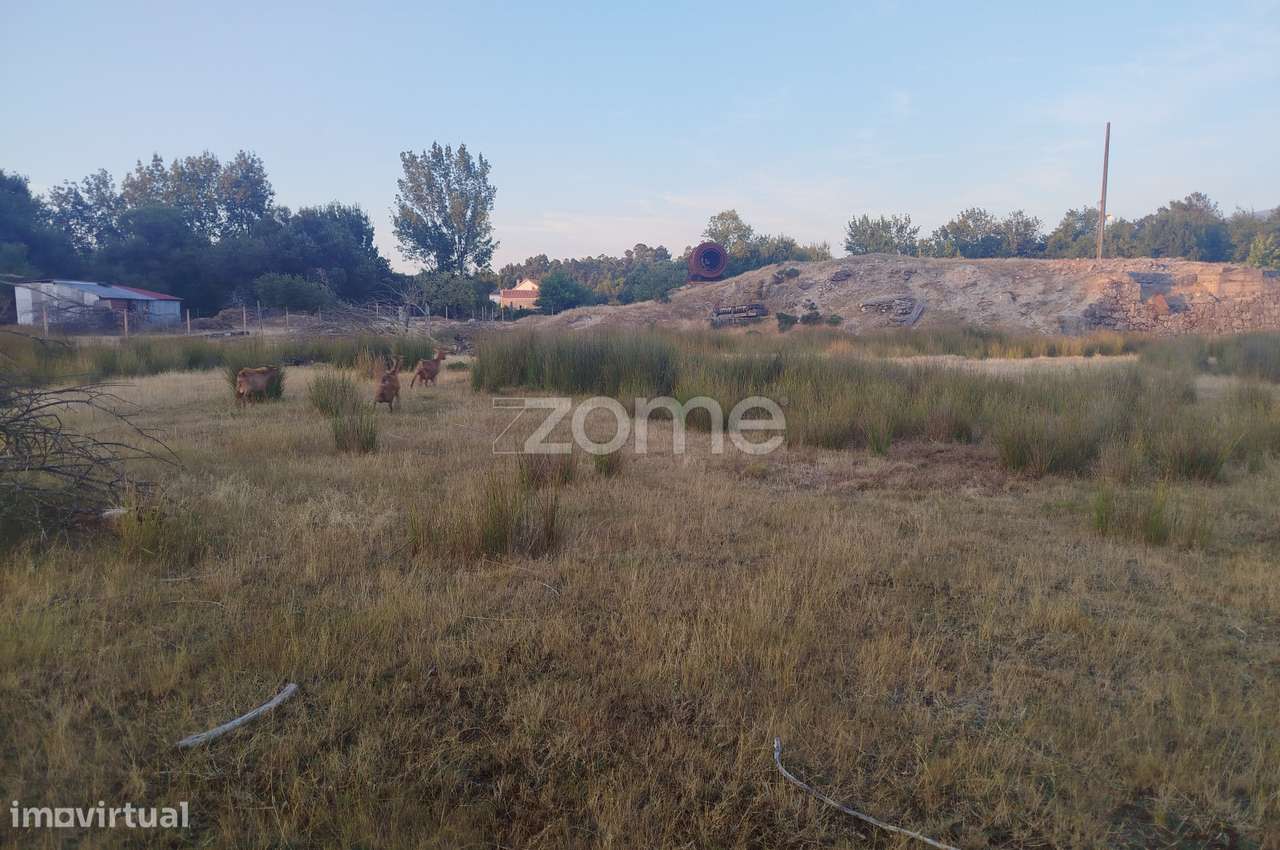 Herdade com três lagos, venha conhecer Oportunidade Única - Grande imagem: 5/29