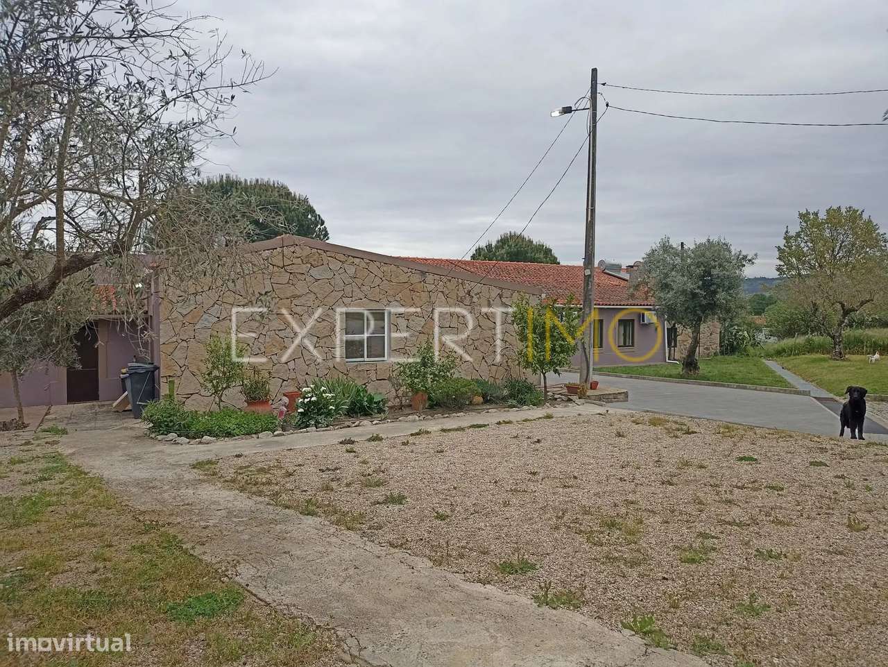 Moradia inserida em quinta rural, licenciada para turismo... - Grande imagem: 4/54