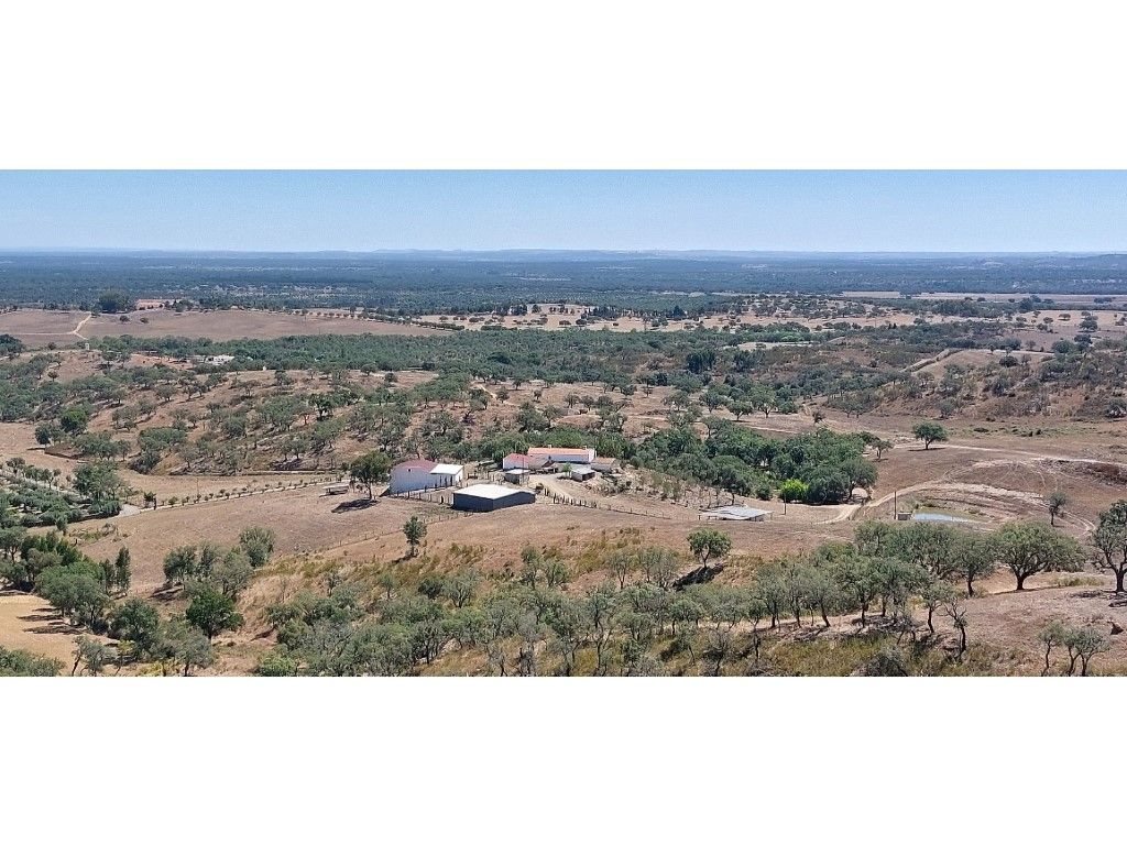 HERDADE 92 ha l Colos - Grande imagem: 1/60