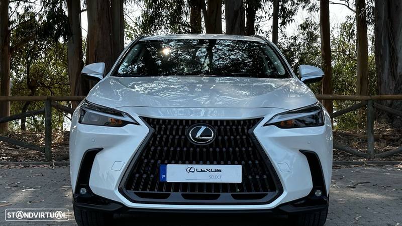 Lexus NX 350h Executive - 2