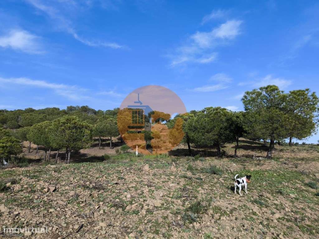 TERRENO COM 76.620 M2 - COM POSSIBILIDADE DE CONSTRUÇÃO - MORADIA E... - Grande imagem: 4/29