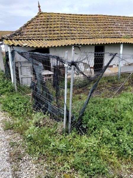 Casa para arrendar - Grande imagem: 4/4