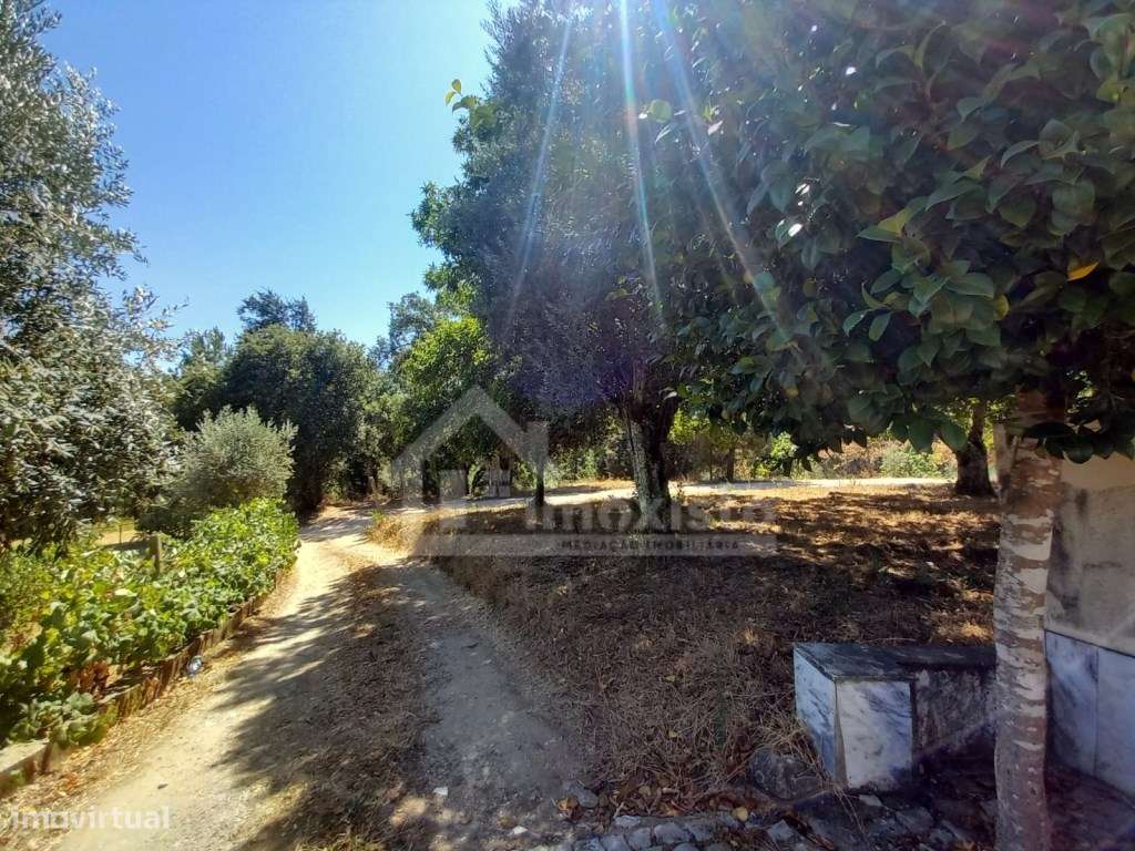 Moradia T4 pronta a habitar em Figueiró dos Vinhos-23