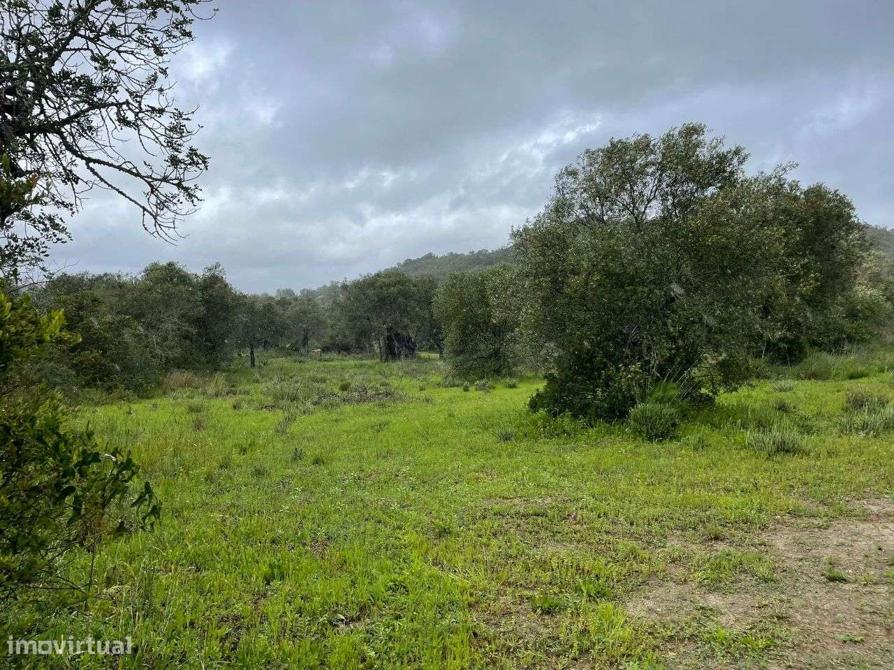 Terreno Rustico em torre Apra- Loule-11