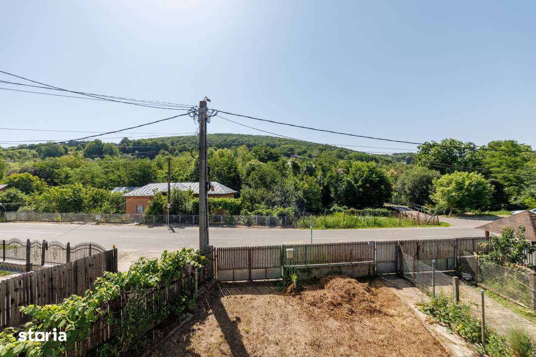 Casa spatioasa P+M in Valea Mare – Podgoria lecateva minute de Pites-17
