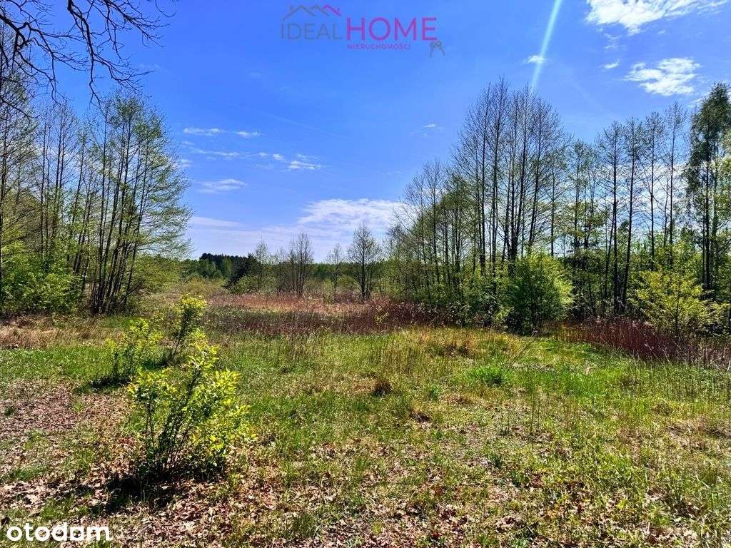 Dom na sprzedaż - Majdan Królewski 2,12ha działki-11